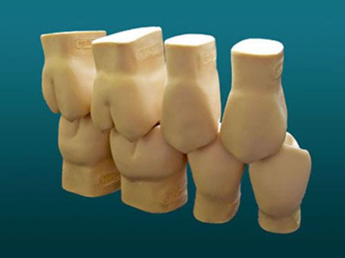 TECteeth Anatomical Teeth Set
