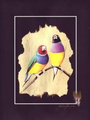 Gouldian finch  signed by artist - inc real feathers - unique australiana for sale