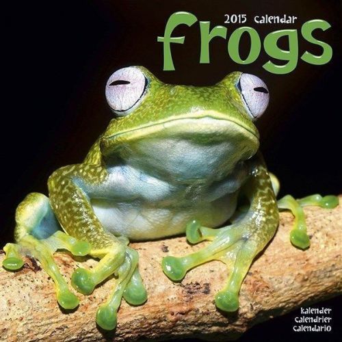 NEW 2015 Frogs Wall Calendar by Avonside- Free Priority Shipping!