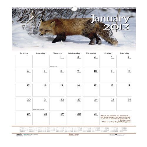 House Of Doolittle Wall Calendar, Wildlife Scenes, 12-Mth, Jan-Dec, 12&#034;x12&#034;