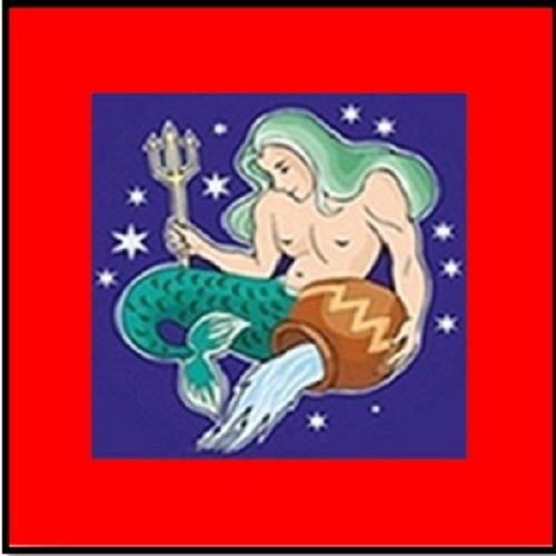 30 Custom Modern Aquarius Zodiac Art Personalized Address Labels