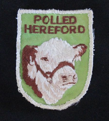 Vintage Polled Hereford Patch
