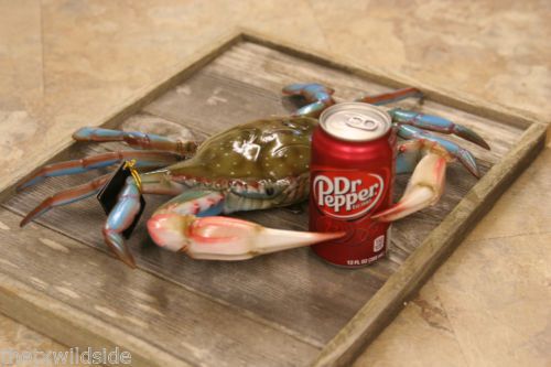 (1), BLUE CRAB, 16&#034; - 17&#034;, REALISTIC CRAB, SEAFOOD RESTAURANT DECOR, BLUE #XX