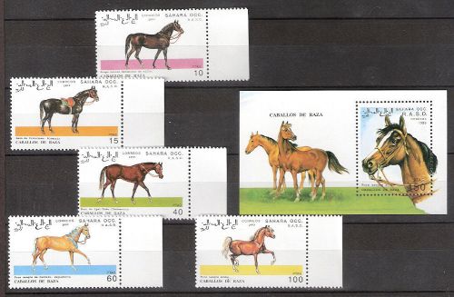 Sahara &#034;Horses&#034; 1993  Sheet + 5 stamps MNH