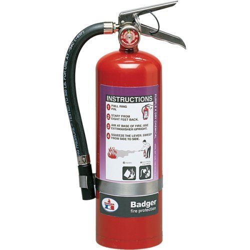 Badger™ Extra 5 lb Purple K Fire Extinguisher w/ Wall Hook