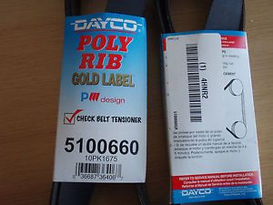 Box of Ten (10): DAYCO POLY RIB Gold Label 8PK1675 5100660 Serpentine Belt !BD0!