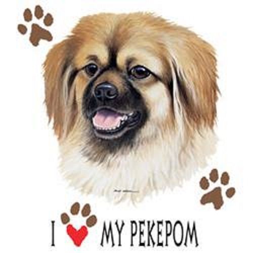 I Love My Pekepom Dog HEAT PRESS TRANSFER for T Shirt Sweatshirt Fabric 891