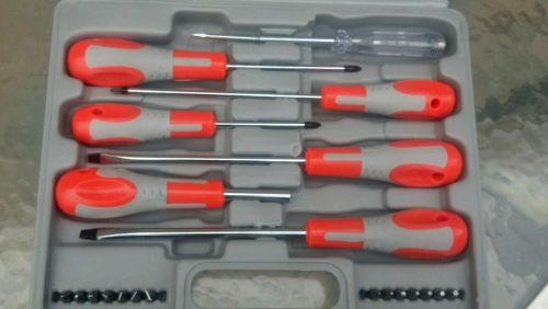 NEW 21 Pc Electricians Screwdriver And Mains Test Set for Home or Work W/Case