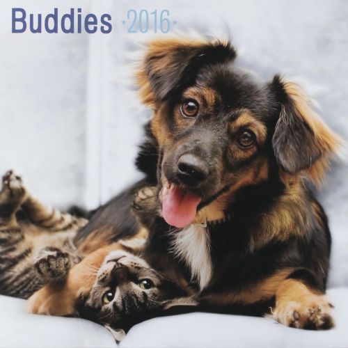 16-Month 2016 BUDDIES Wall Calendar NEW Cute Dog Puppies Cats Kitten Rabbit Deer