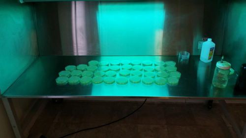 Nutrient Antibiotic Malt Agar Pre-poured Petri Dishes Science Project Mushrooms