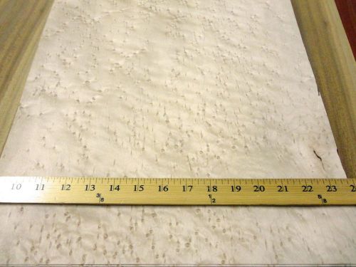 Birdseye Maple figured wood veneer 12&#034; x 14&#034; raw no backing 1/42&#034; thick &#034;AAA&#034;