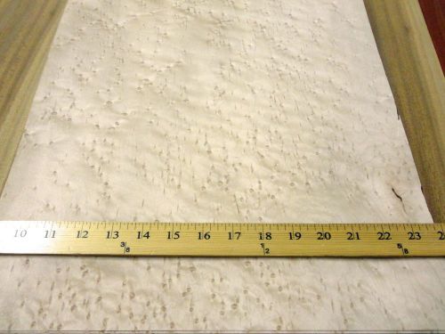 Birdseye maple figured wood veneer 12&#034; x 14&#034; raw no backing 1/42&#034; thick &#034;aaa&#034; for sale