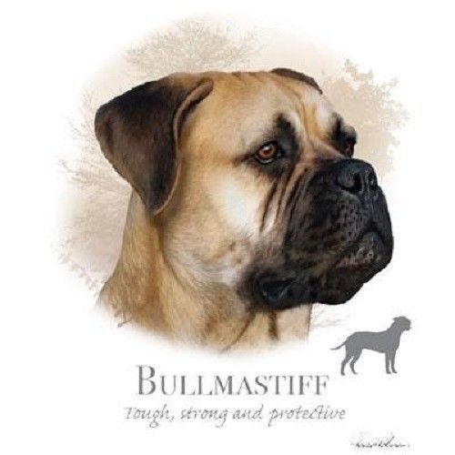 Bullmastiff dog heat press transfer print for t shirt sweatshirt tote fabric 880 for sale