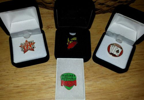 Set of 4 employee recognition label pins.
