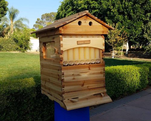 !10,000Pets! Auto Flow Frame Beehive 1-Brood 1-Super 7-Auto Frames 1-Key 7-Tubes