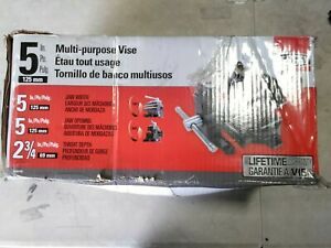BESSEY 5 in. Multi-Purpose Rotating Pipe and Bench Vise with Swivel Base