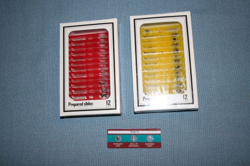 Prepared Microscope slides New in Package lot of 2 red yellow