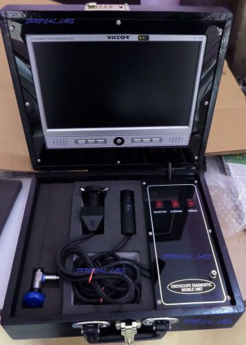PORTABLE ENDOSCOPE UNIT SYSTEM FOR THE LIVE IN SCREEN WITH THE HELP OF CAMERA