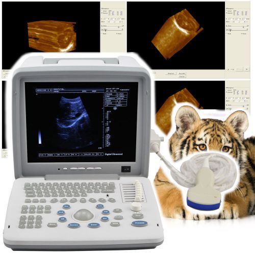 12-inch Veterinary Portable Digital Ultrasound Scanner Machine Convex Free 3D CE