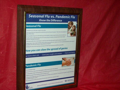 Department Of Veterans Affairs  Seasonal Flu vs. Pandemic Flu Sign/Plaque