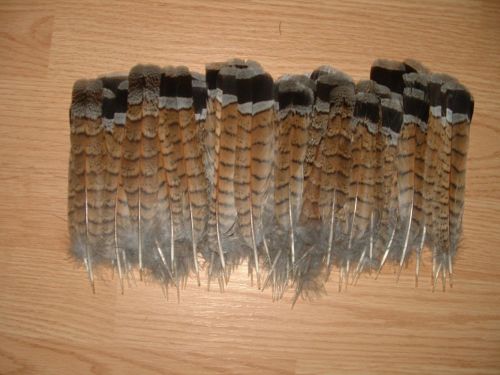 SALE,,15 Canadian Brown Ruffed Grouse Tail Feathers, Fly Tying, Fishing, Crafts