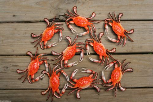 (20), STEAMED CRABS, 6&#034;, STEAMED CRABS, SEAFOOD RESTAURANT, SEAFOOD DECOR, #XX