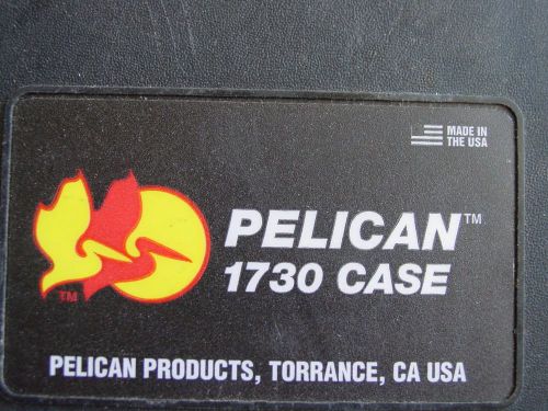 Pelican 1730 Road Case for Color Kinetics Reach