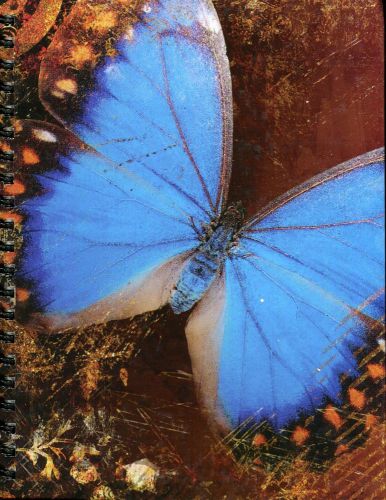 NEW!  Large  Butterfly  Hardcover Journal Wire-O * Piccadilly 99781571338235