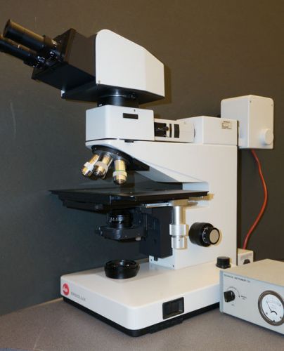 Leitz Ergolux microscope