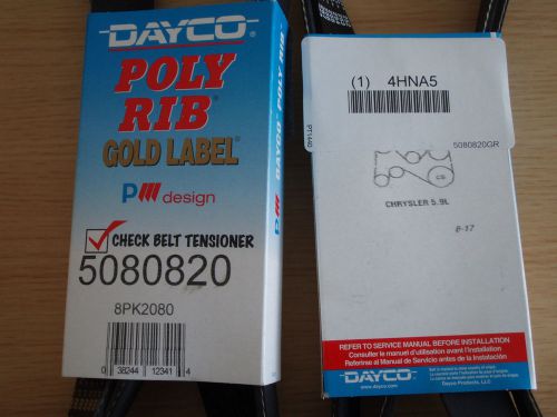 Box of Ten (10): DAYCO POLY RIB Gold Label 8PK2085 508020 Serpentine Belt !BD0!