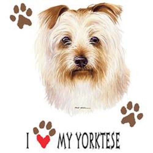 I Love My Yorktese Dog HEAT PRESS TRANSFER for T Shirt Sweatshirt Fabric 917g