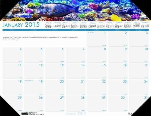 House of Doolittle Earthscapes Compact Sea Life Desk Pad Calendar 12 Months