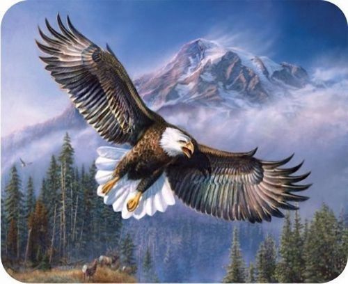 New Bald Eagle Mouse Pad Mats Mousepad Hot Gift
