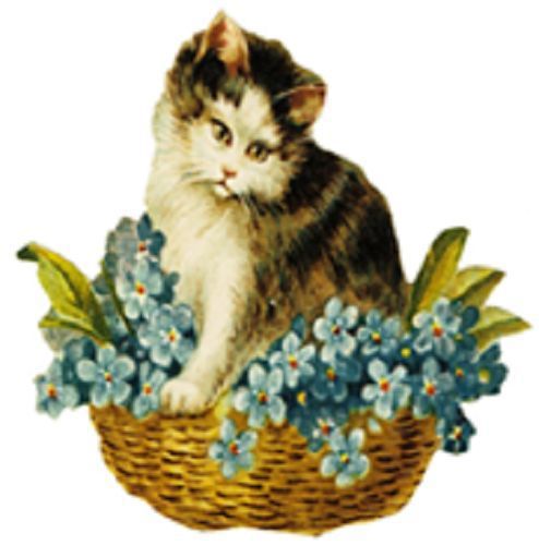 30 Custom Cat In A Flower Basket Personalized Address Labels
