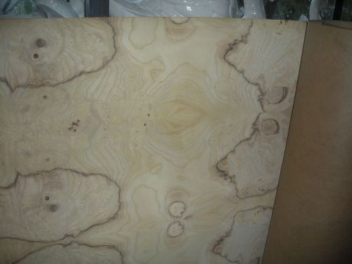 24 x 96 ROLL OF EXOTIC WOOD VENEER,VERY NICE DESIGN,NOT SURE WHAT TYPE THIS IS