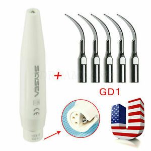 SKYSEA Dental Scaler Detachable Handpiece + 5pcs GD1 Tip fit  fit DTE SATELEC