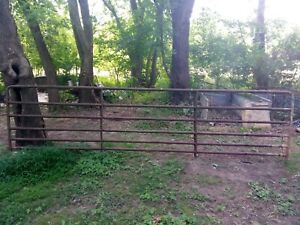 USED  16&#039;X4&#039; Farm Tube Gate