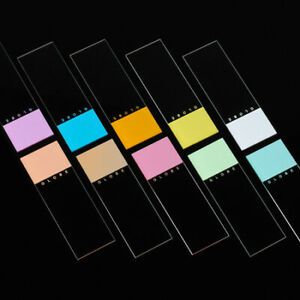 GLOBE SCIENTIFIC 1380-50A White Glass Slide, 90° Ground Edges, Aqua Frost,