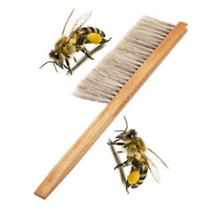 Wood Honey Brush Wasp bee Sweep Two Rows Of Horse Tail Hair Beekeeping  N  F4