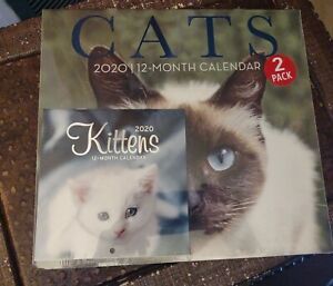 2020 Collectors Cat Kitten Wall Calendar And Mini Kitty Calendar 2 Pk Organize