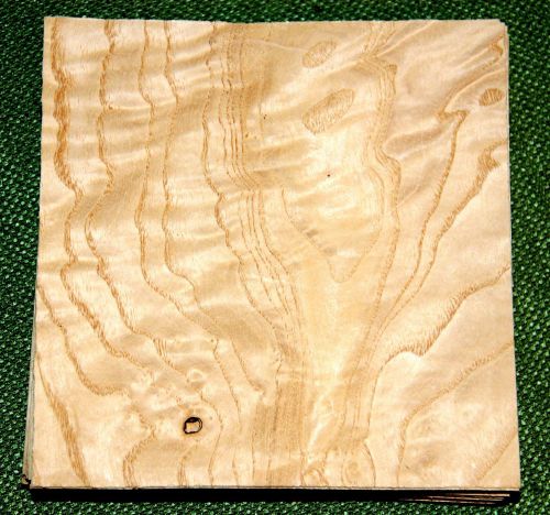 24 leafs of quilted ash @ 5 x 5 wood veneer  #v1293 for sale