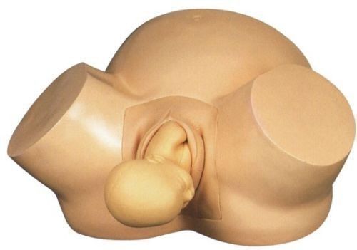 Vacuum BABY Delivery Model Advanced midwifery training FOR NURSING 0017
