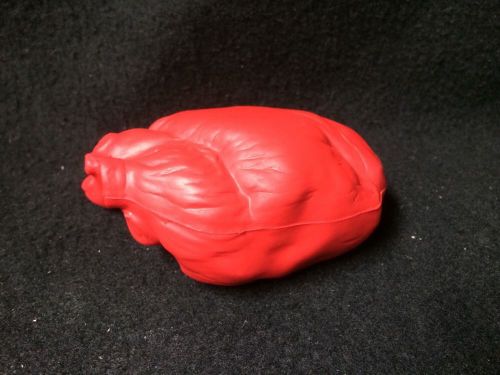 Squishy Red Human Heart Anatomical Model