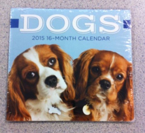 2015 DOGS 16-month MINI Wall Calendar  NEW