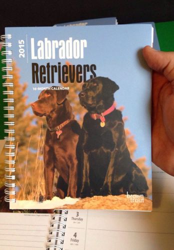 2015 Labrador Retrievers 16 Month Planner/calendar Very Nice - High Quality