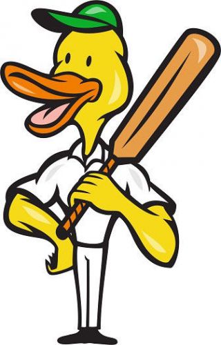 30 Custom Cricket Duck Personalized Address Labels