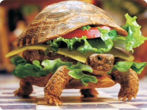 Hamburger Turtle Mouse Pad