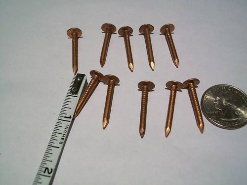 10 SOLID COPPER ONE INCH NAILS NEW