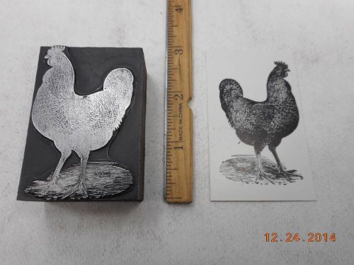Letterpress Printing Printers Block, Detailed Farm Rooster, Chicken