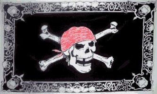 Skull With Skull Border Pirate Flag 3x 5&#039; Indoor Outdoor Banner